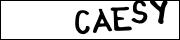 CAPTCHA