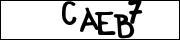 CAPTCHA