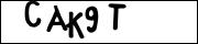 CAPTCHA