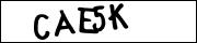 CAPTCHA