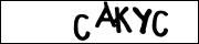 CAPTCHA