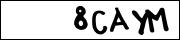 CAPTCHA